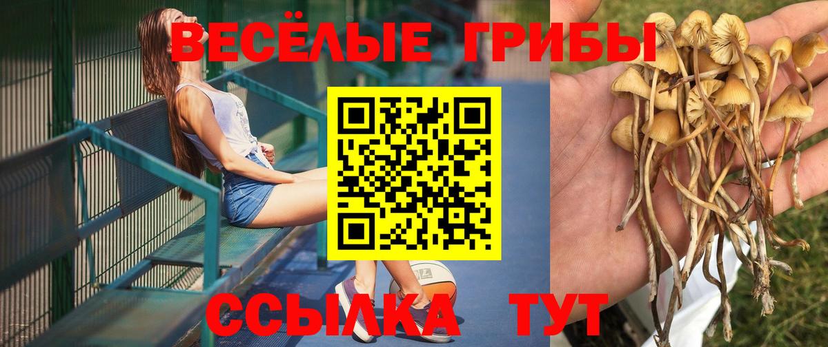 Галлюциногенные грибы мицелий  Вход с VPN  Кировск  Галлюциногенные грибы мухоморы 